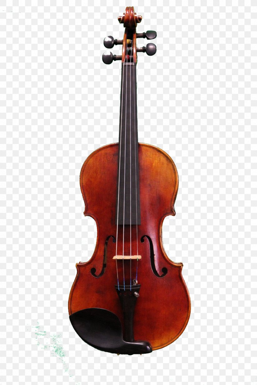 String Instruments Viola Violin Cello, PNG, 1000x1500px, String Instruments, Bass Guitar, Bass Violin, Bow, Bowed String Instrument Download Free