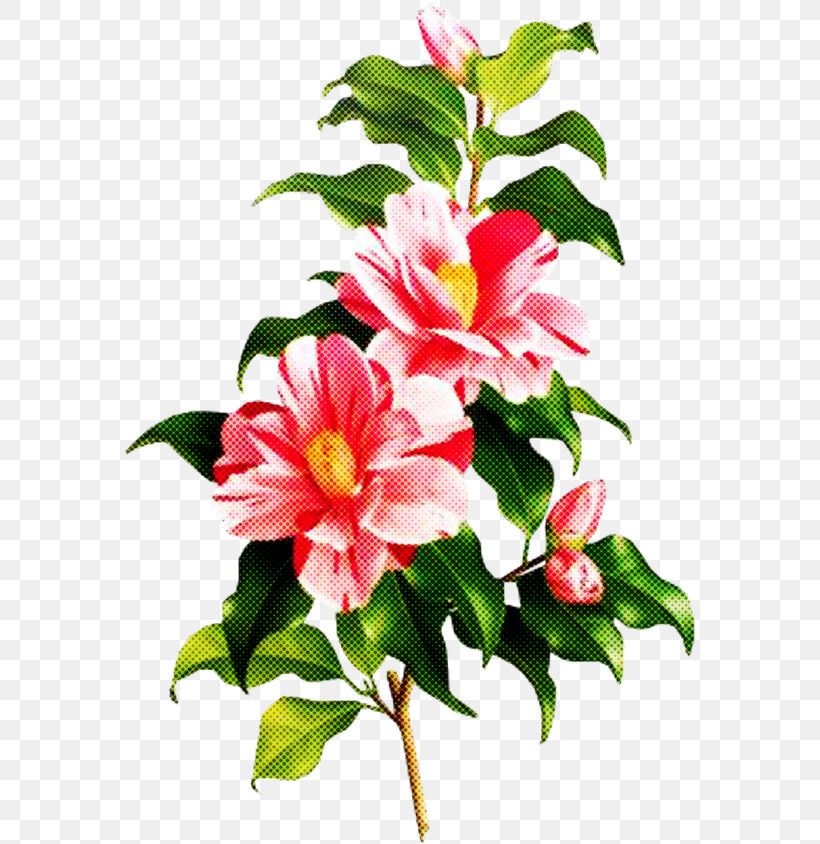 Artificial Flower, PNG, 573x844px, Flower, Anthurium, Artificial Flower, Bouquet, Camellia Download Free