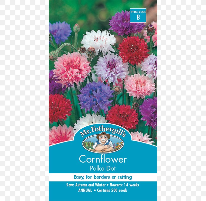 Cornflower Blue Seed White, PNG, 800x800px, Cornflower, Aster, Blue, Chrysanthemum, Color Download Free
