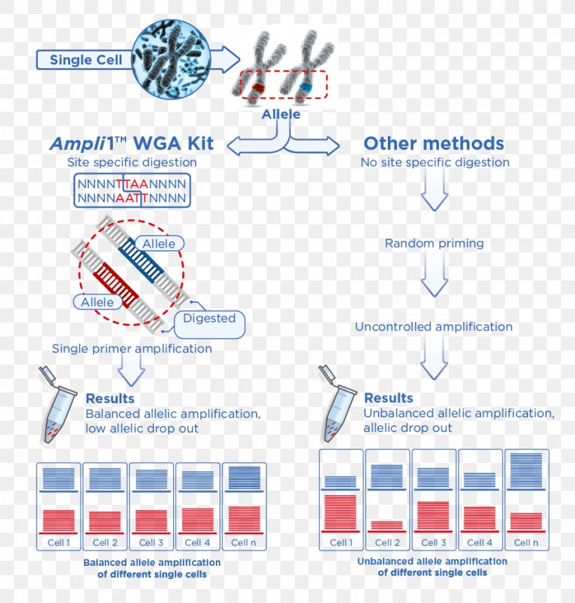 DNA Sequencing Single-nucleotide Polymorphism Next Generation Sequencing Microsatellite, PNG, 943x990px, Dna Sequencing, Area, Blue, Brand, Cell Download Free