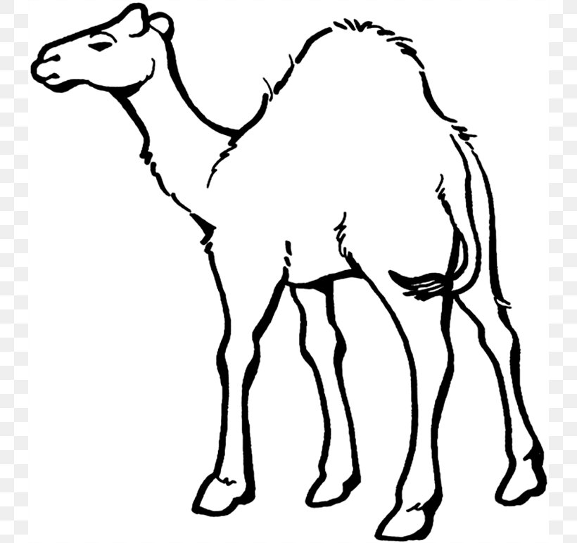 Dromedary Bactrian Camel Coloring Book Child Camel Train, PNG, 740x772px, Dromedary, Animal, Animal Figure, Arabian Camel, Bactrian Camel Download Free