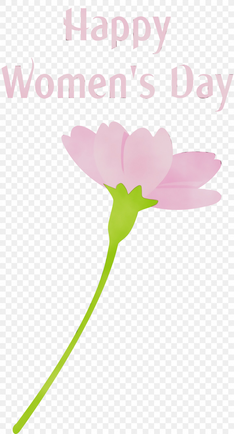 Flower Pink Plant Petal Pedicel, PNG, 1620x3000px,  Download Free