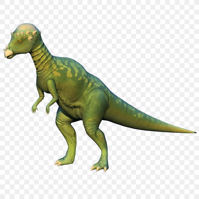 Tyrannosaurus Velociraptor Terrestrial Animal, PNG, 1024x1024px, Tyrannosaurus, Animal, Animal Figure, Dinosaur, Organism Download Free