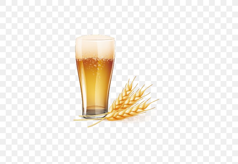 Wheat Beer Baijiu Euclidean Vector, PNG, 568x567px, Wheat Beer, Baijiu, Beer, Beer Glass, Beer Glassware Download Free