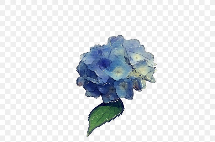 Blue Iris Flower, PNG, 1280x851px, Hydrangea, Blue, California Lilac, Cornales, Cut Flowers Download Free