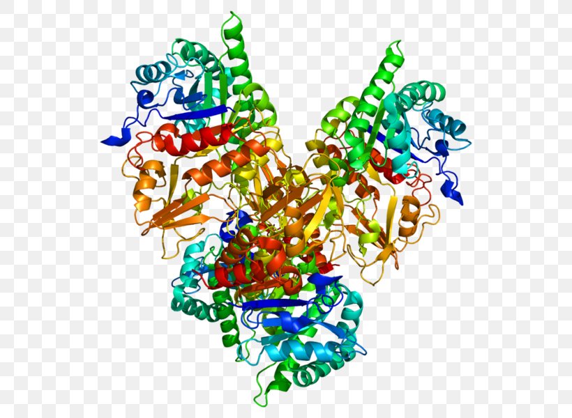 CHI3L1 Chitinase Protein Secretion Gene, PNG, 564x600px, Chitinase, Antibody, Art, Biomarker, Cdna Library Download Free