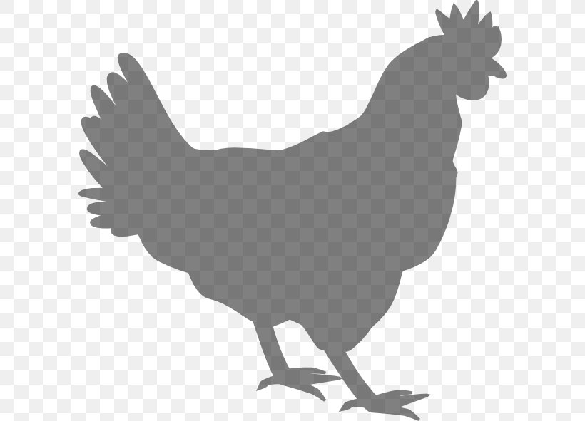 Chicken Rooster Poultry Clip Art, PNG, 600x591px, Chicken, Beak, Bird, Black And White, Chickens As Pets Download Free