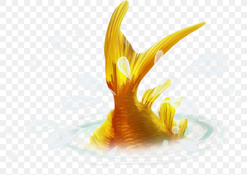 Sea Fish Clip Art, PNG, 800x583px, Sea, Digital Image, Fish, Flower, Freshwater Fish Download Free