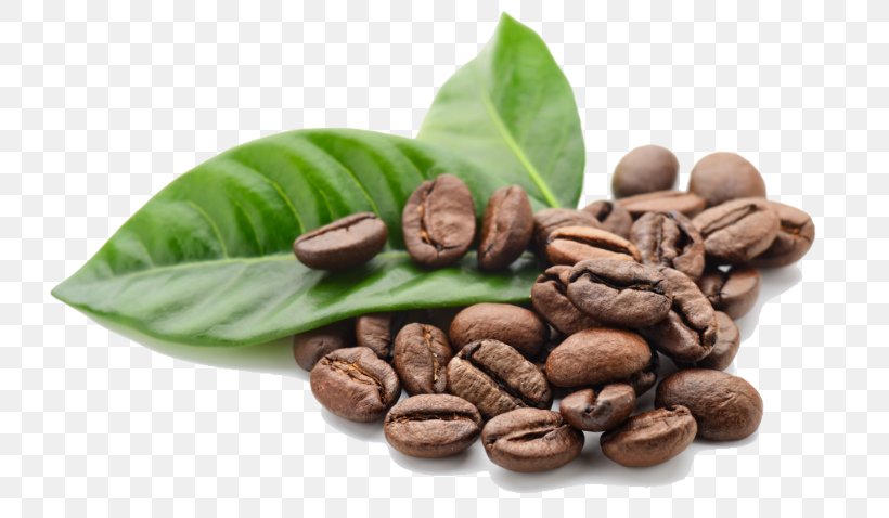 Single-origin Coffee Cafe Espresso Coffee Bean, PNG, 800x478px, Coffee, Arabica Coffee, Bean, Cafe, Cocoa Bean Download Free