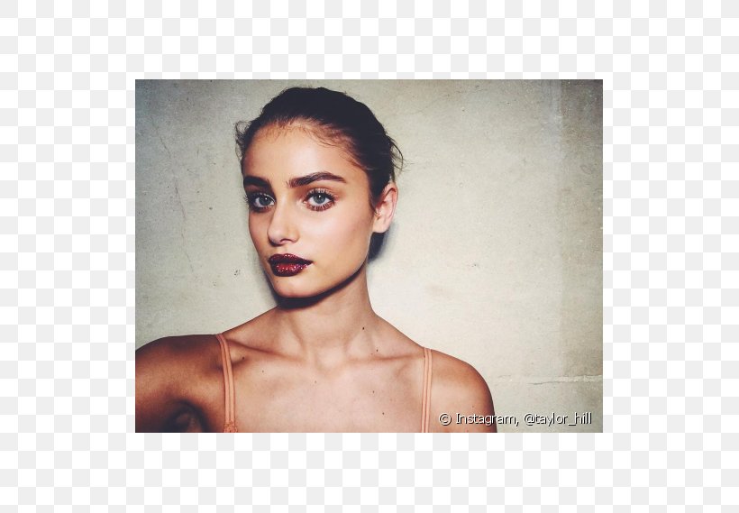 Taylor Hill Model Make-up Artist Victoria's Secret Cosmetics, PNG, 790x569px, Taylor Hill, Beauty, Black Hair, Brown Hair, Cheek Download Free