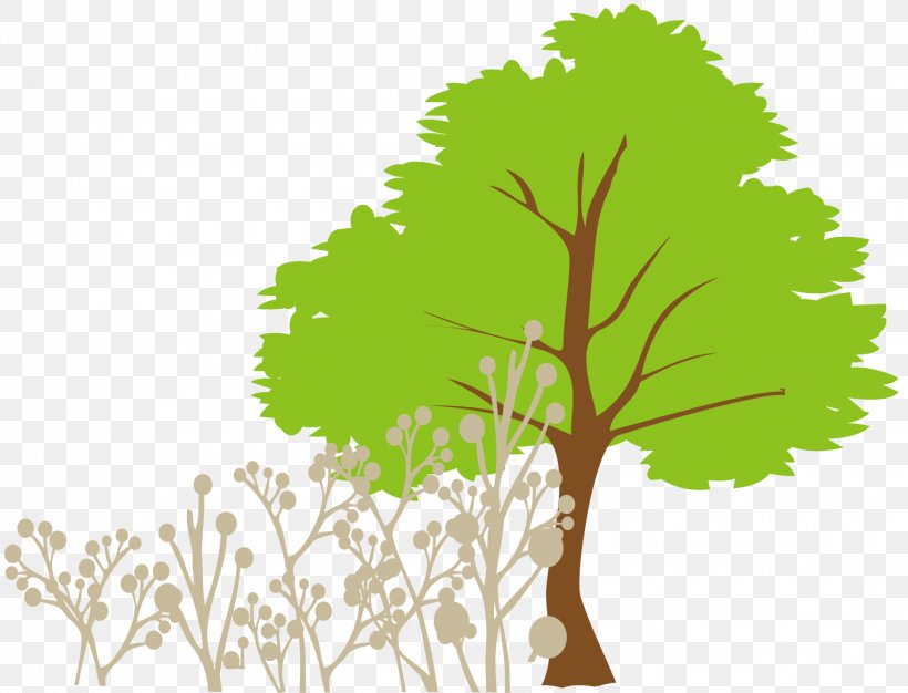 Tree Euclidean Vector Clip Art, PNG, 1528x1167px, Tree, Birch, Branch, Drawing, Flora Download Free