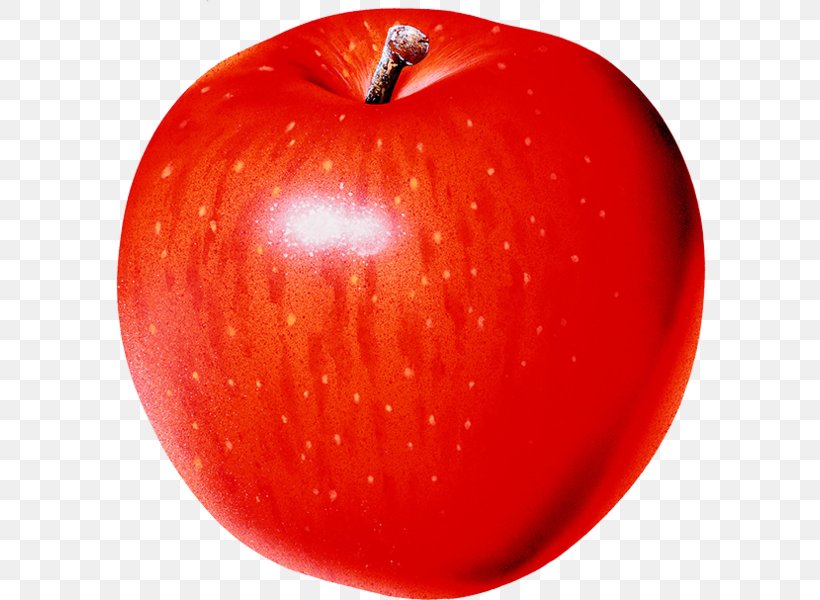 Apple Download Clip Art, PNG, 593x600px, Apple, Accessory Fruit, Diet Food, Food, Fruit Download Free