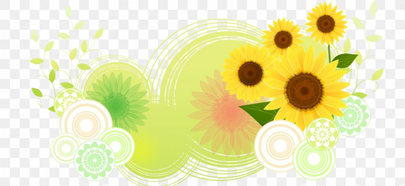 Common Sunflower, PNG, 900x414px, Common Sunflower, Daisy Family, Drawing, Element, Floral Design Download Free
