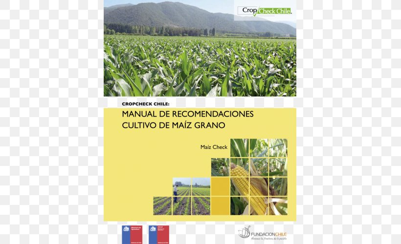 Crop Maize Agronomy Farm Wheat, PNG, 750x500px, Crop, Advertising, Agriculture, Agronomy, Brand Download Free