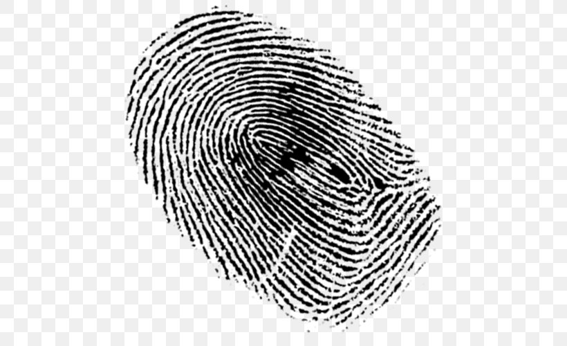 Fingerprint New York City Clip Art, PNG, 500x500px, Fingerprint, Black And White, Drawing, Finger, Hardware Accessory Download Free