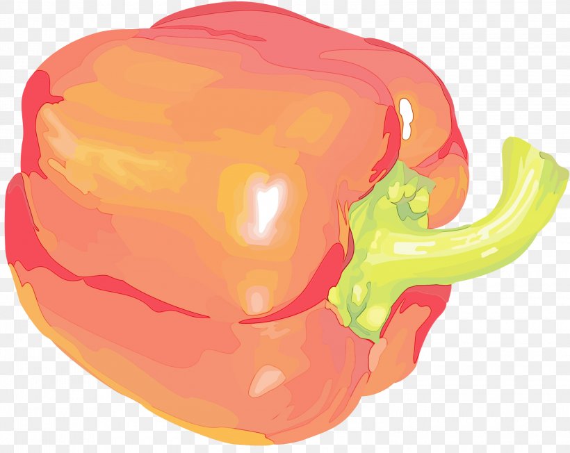 Orange, PNG, 3000x2389px, Watercolor, Bell Pepper, Bell Peppers And Chili Peppers, Capsicum, Jaw Download Free