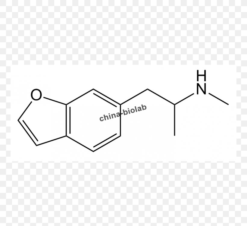 Albuterol Drug Metabolism Phenylephrine Adrenergic Receptor, PNG, 750x750px, Albuterol, Adme, Adrenaline, Adrenergic Agonist, Adrenergic Receptor Download Free