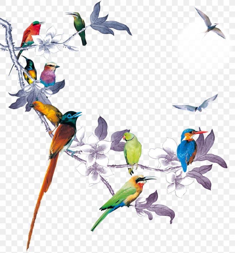 Bird Download, PNG, 1112x1200px, Bird, Beak, Branch, Common Pet Parakeet, Coreldraw Download Free