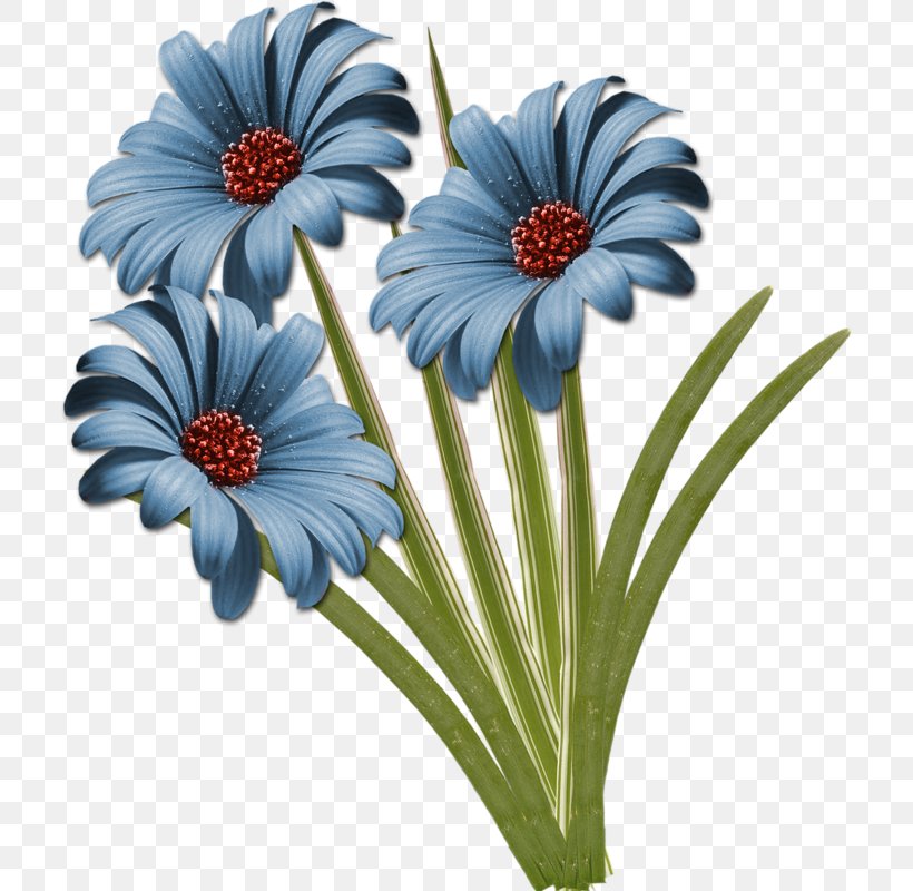 Common Daisy Cut Flowers Clip Art, PNG, 711x800px, Common Daisy, Blog, Blume, Centerblog, Cut Flowers Download Free