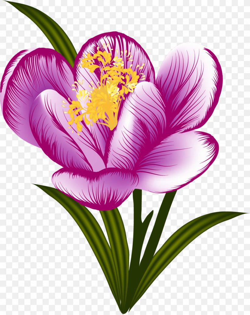 Flower Floral Design Petal, PNG, 1016x1280px, Flower, Crocus, Cut Flowers, Floral Design, Flowering Plant Download Free