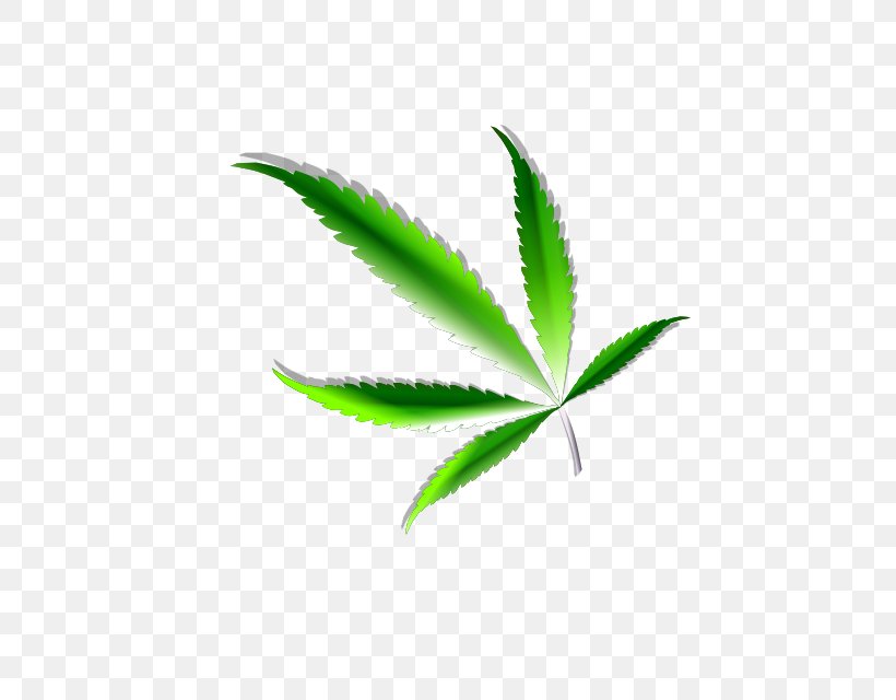 Cannabis Sativa Cannabis Ruderalis Bong Hemp, PNG, 519x640px, Cannabis, Bong, Botany, Cannabis Ruderalis, Cannabis Sativa Download Free