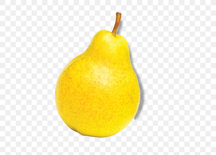 European Pear Asian Pear Citrus Junos Fruit, PNG, 591x591px, European Pear, Apple, Asian Pear, Auglis, Citron Download Free