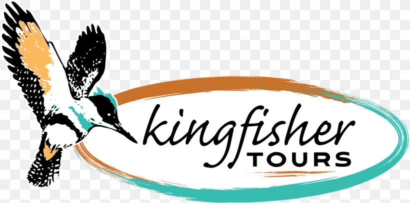 Logo Kingfisher Tours Flight Cockburn Ranges Lookout, PNG, 1102x547px, Logo, Airline, Beak, Brand, Fixedwing Aircraft Download Free