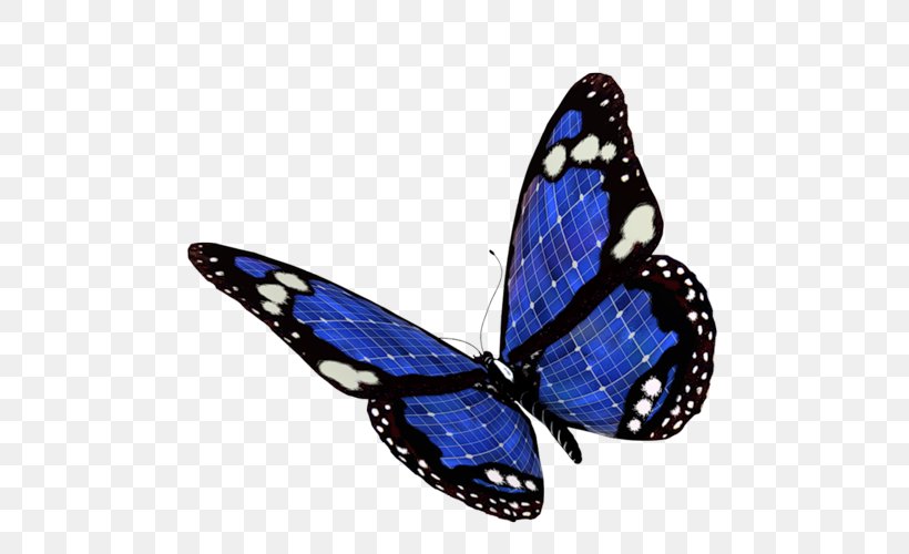 Monarch Butterfly Papillon Dog Clip Art, PNG, 500x500px, Monarch Butterfly, Arthropod, Brush Footed Butterfly, Butterflies And Moths, Butterfly Download Free