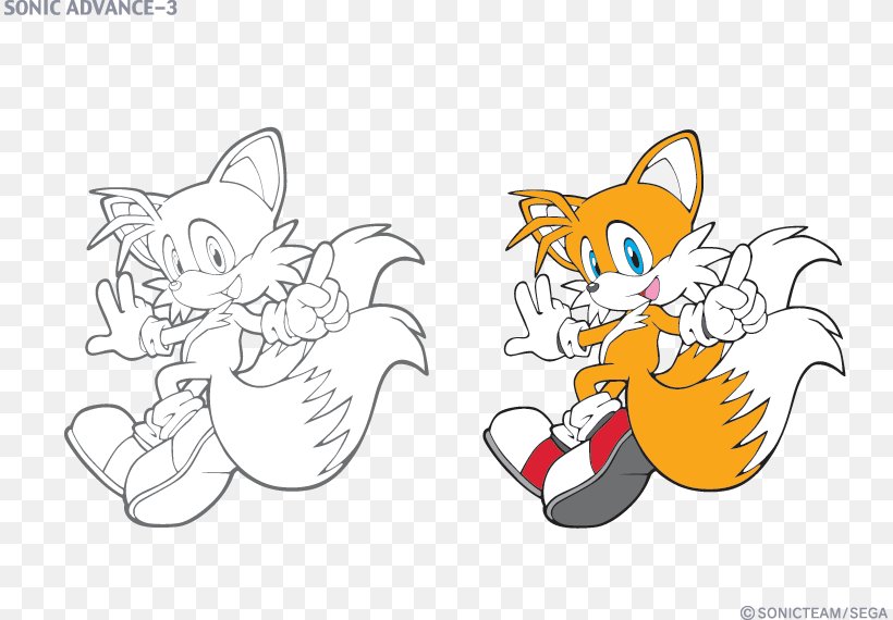 Sonic Chaos Mario & Sonic At The Olympic Games Tails Knuckles The Echidna Sonic & Sega All-Stars Racing, PNG, 811x570px, Watercolor, Cartoon, Flower, Frame, Heart Download Free