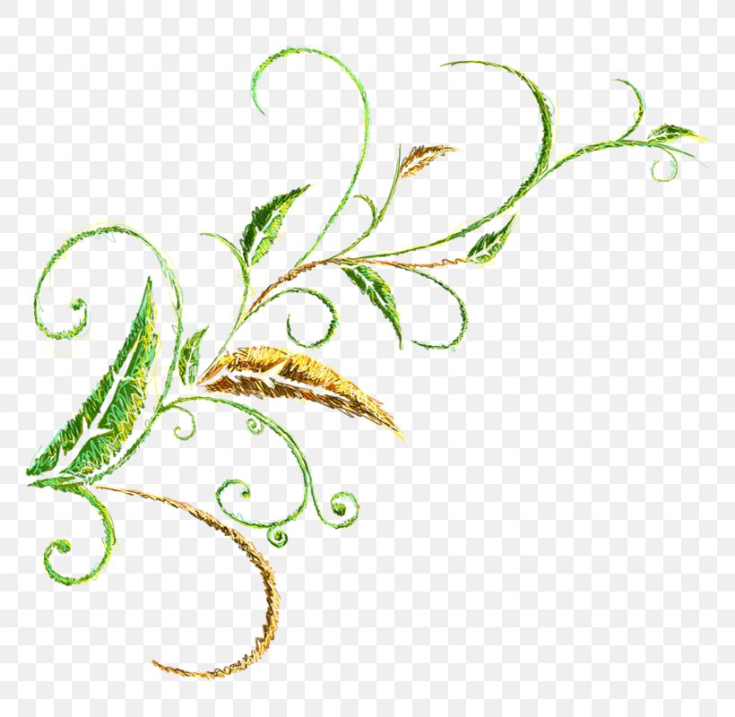 Clip Art Leaf Floral Design Plant Stem, PNG, 800x800px, Leaf, Body Jewellery, Body Jewelry, Branch, Flora Download Free