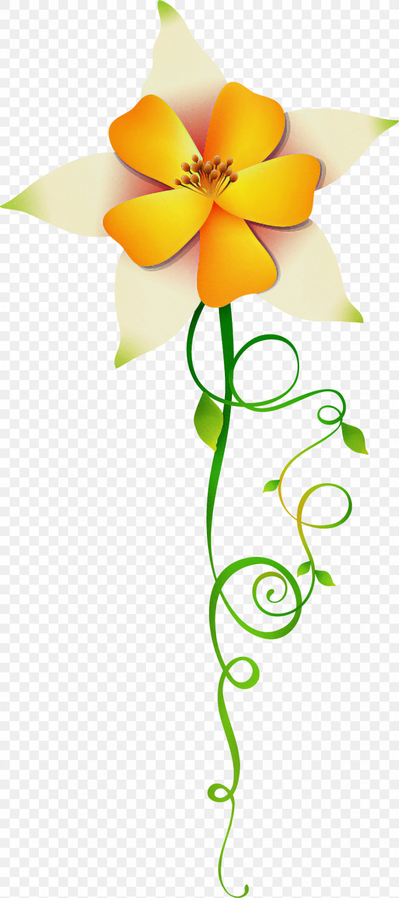 Flower Border, PNG, 891x2003px, Flower Border, Cut Flowers, Flower, Orange, Pedicel Download Free