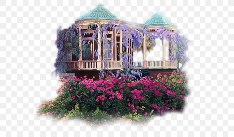Gazebo 24 January 24 August Island, PNG, 570x480px, Gazebo, Cottage, Facade, Home, House Download Free