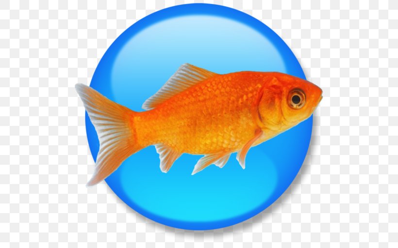 Goldfish Feeder Fish Product Manuals HTML Computer Software, PNG, 512x512px, Goldfish, Adobe Indesign, Apple, Bony Fish, Computer Software Download Free