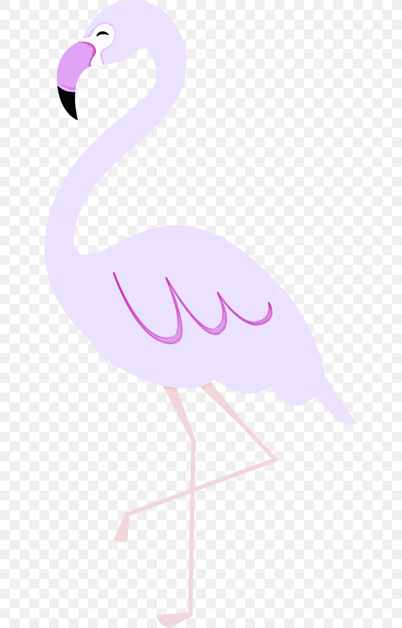 Feather, PNG, 637x1280px, Flamingo M, Beak, Feather, Line, Meter Download Free