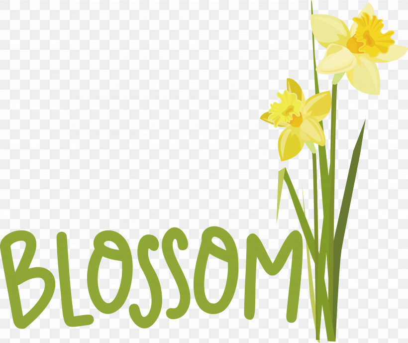 Floral Design, PNG, 5679x4775px, Daffodil, Cut Flowers, Floral Design, Flower, Happiness Download Free