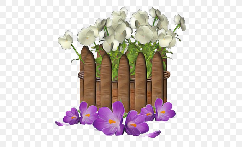 Flower Violet Plant Purple Cut Flowers, PNG, 500x500px, Flower, Cut Flowers, Flowerpot, Moth Orchid, Petal Download Free