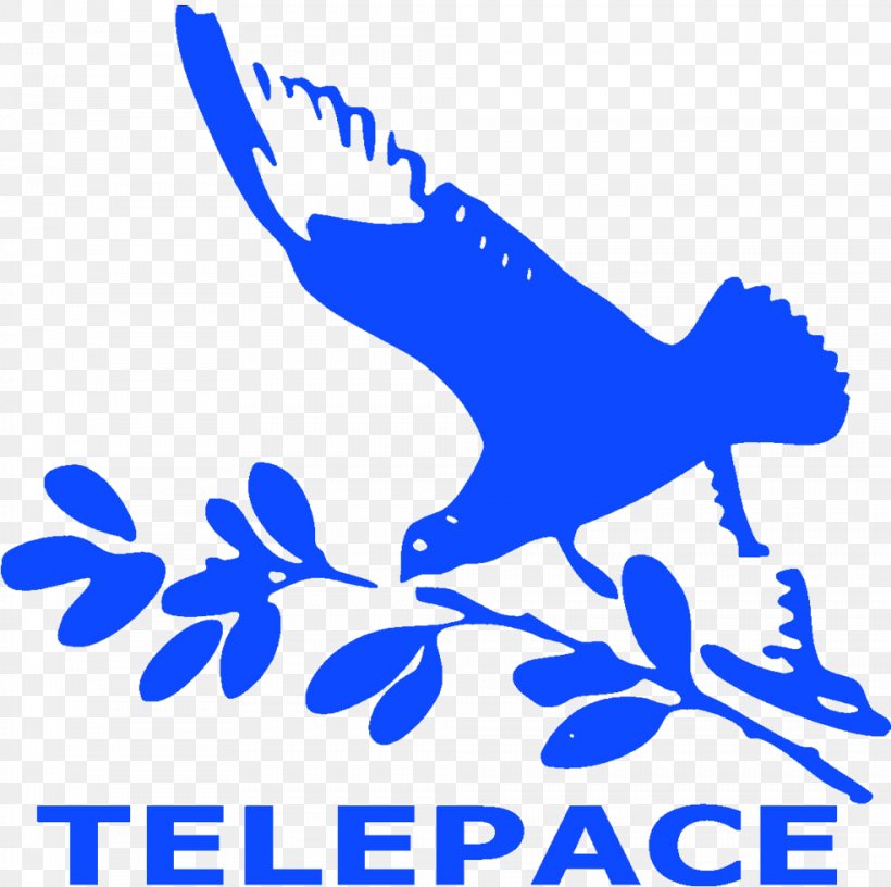Telepace High-definition Television Hot Bird ČT1, PNG, 984x980px, Television, Area, Artwork, Beak, Black And White Download Free