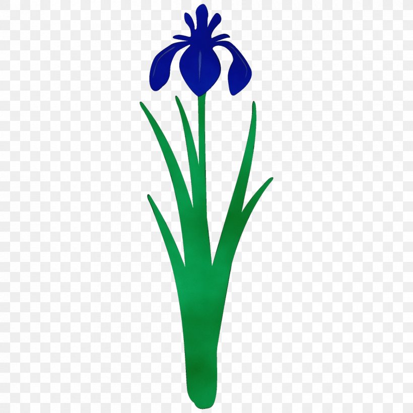 Flower Plant Flowering Plant Clip Art Petal, PNG, 1200x1200px, Watercolor, Flower, Flowering Plant, Iris, Paint Download Free