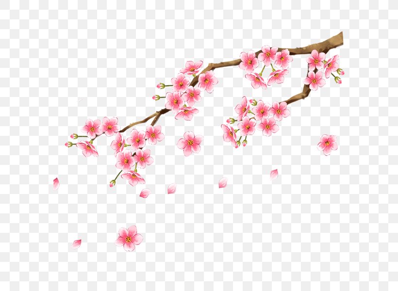 Plum Blossom Clip Art, PNG, 600x600px, Blossom, Branch, Cherry, Cherry Blossom, Common Plum Download Free