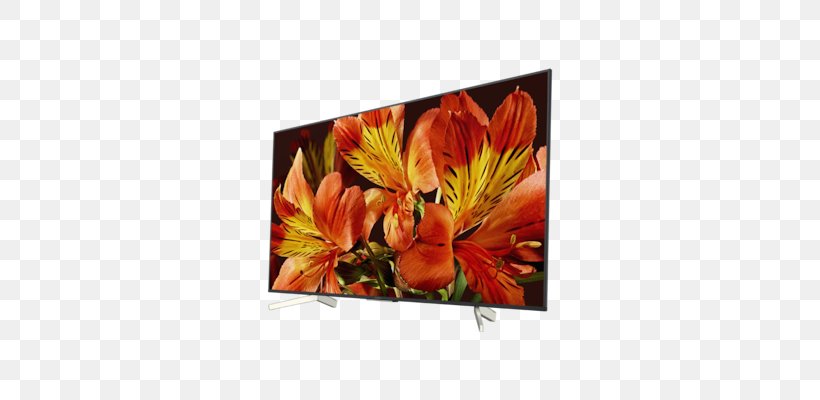 Smart TV LED-backlit LCD 4K Resolution Ultra-high-definition Television Sony XF8505, PNG, 676x400px, 4k Resolution, Smart Tv, Cut Flowers, Flower, Flowering Plant Download Free
