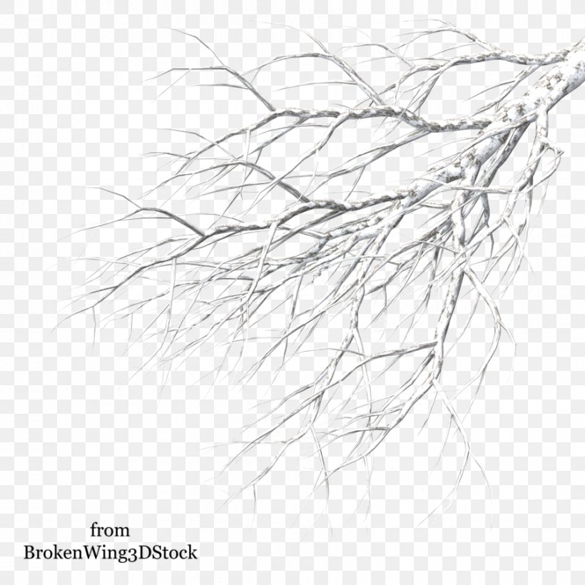 Tree Winter Branch Drawing, PNG, 900x900px, Tree, Artwork, Black And White, Branch, Drawing Download Free