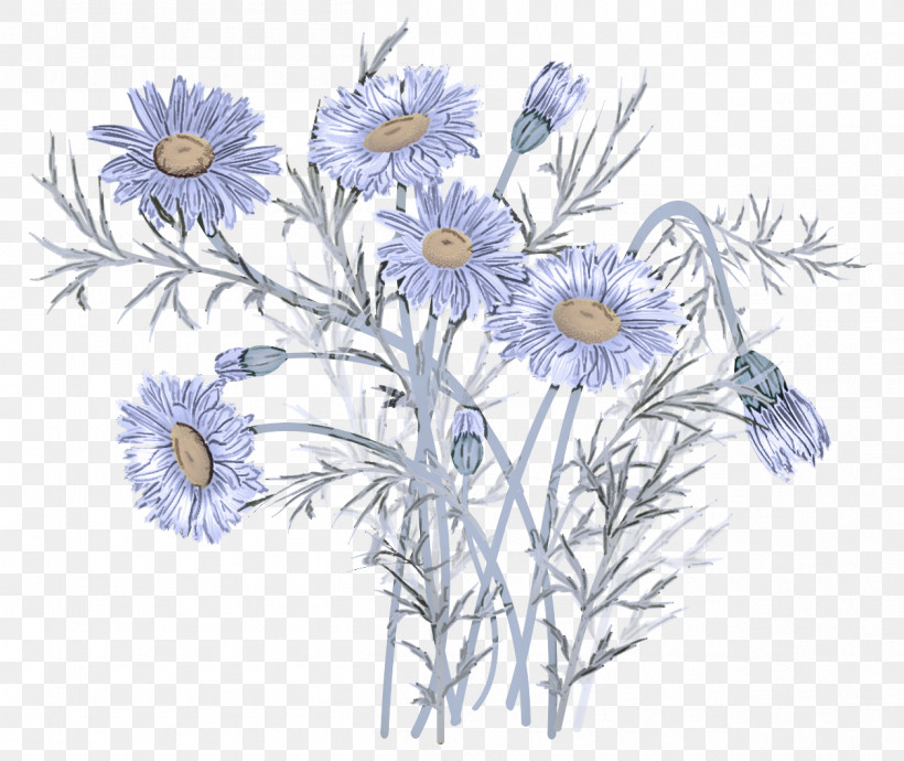 Daisy, PNG, 1257x1059px, Flower, Aster, Camomile, Chamomile, China Aster Download Free