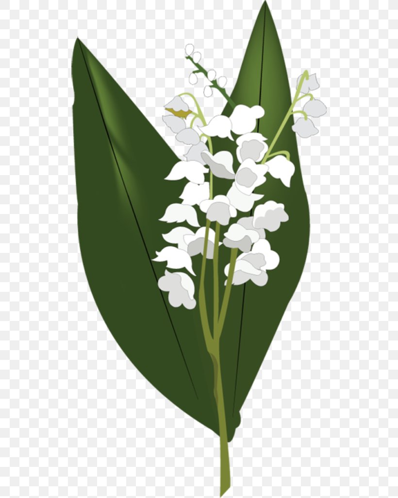 Lily Of The Valley Flower Clip Art, PNG, 526x1024px, Lily Of The Valley, Arumlily, Easter Lily, Flora, Floral Design Download Free