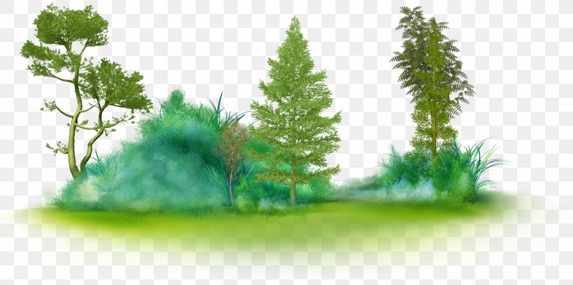 Tree Glade Clip Art, PNG, 4522x2254px, Tree, Biome, Branch, Christmas Tree, Collage Download Free