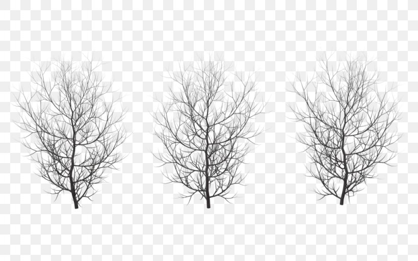 Tree Winter Branch Clip Art, PNG, 1024x640px, Tree, Black And White, Branch, Drawing, Monochrome Download Free