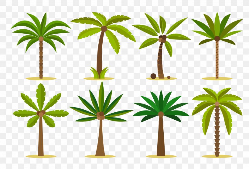 Vector Graphics Palm Trees Clip Art Design Tattoo Art, PNG, 3000x2042px, Palm Trees, Arecales, Decal, Drawing, Flowering Plant Download Free