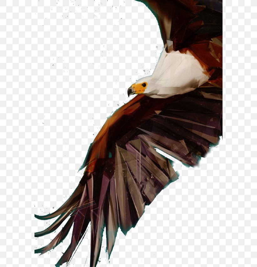 Bald Eagle Bird Flight Falcon Owl, PNG, 600x849px, Bald Eagle, Accipitriformes, Animal, Beak, Bird Download Free
