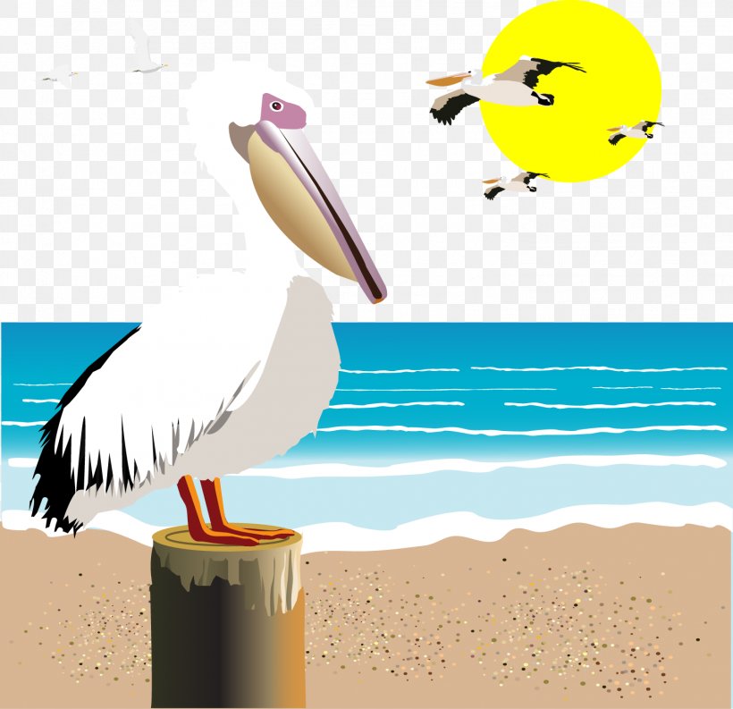 Gulls Seabird Illustration, PNG, 1504x1456px, Gulls, Beak, Bird, Ducks Geese And Swans, Fauna Download Free