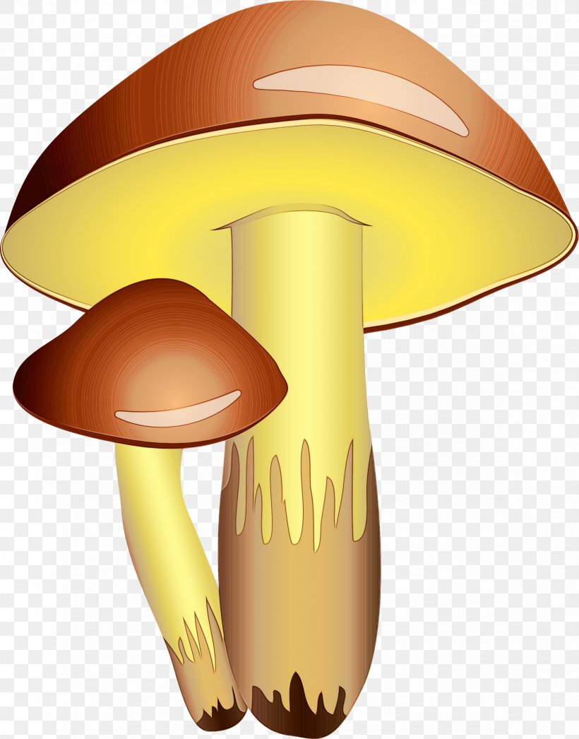 Mushroom Cartoon Edible Mushroom Agaricomycetes Clip Art, PNG, 2351x3000px, Watercolor, Agaric, Agaricaceae, Agaricomycetes, Bolete Download Free