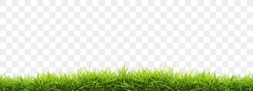 Desktop Wallpaper Photography Image Download, PNG, 1920x700px, Photography, Artificial Turf, Field, Flooring, Fodder Download Free
